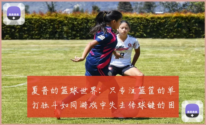夏普的篮球世界：只专注篮筐的单打独斗如同游戏中失去传球键的困境