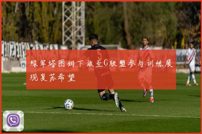 绿军塔图姆下放至G联盟参与训练展现复苏希望