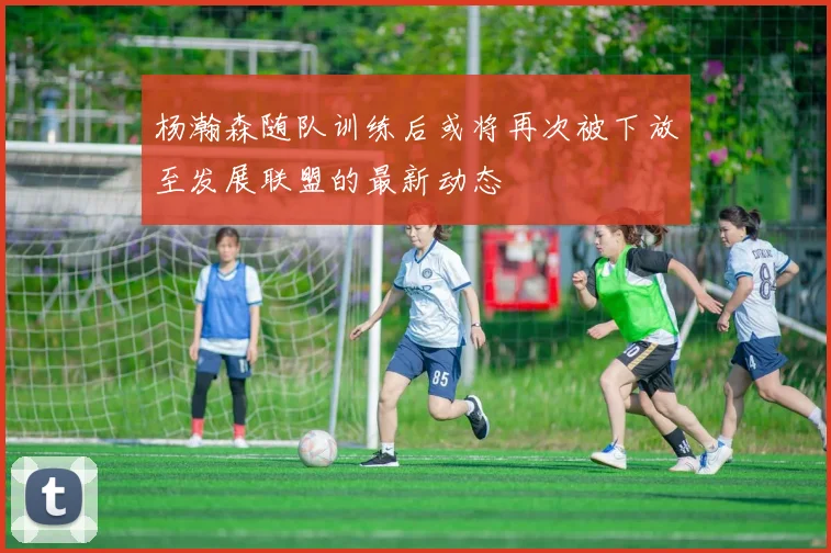 杨瀚森随队训练后或将再次被下放至发展联盟的最新动态
