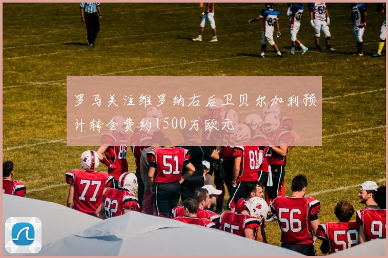 罗马关注维罗纳右后卫贝尔加利预计转会费约1500万欧元