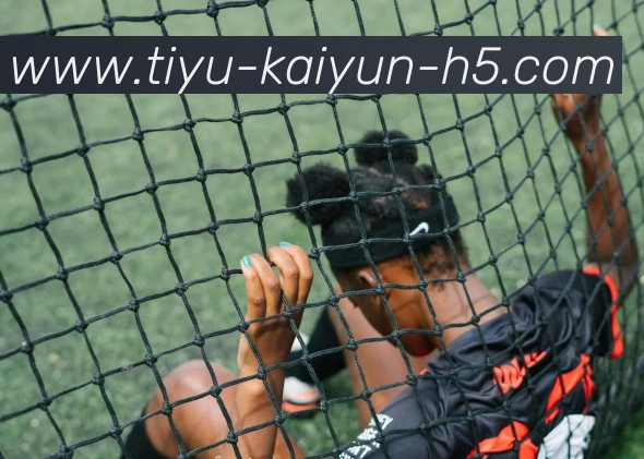 开云体育APP 高清赛事图